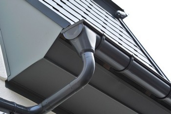 Reasonable Carnation gutter maintenance in WA near 98014