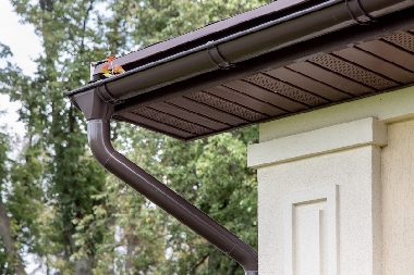 Professional Brier gutter services in WA near 98036